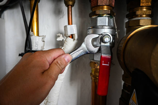 Best Toilet Repair Services  in Fairview, CA